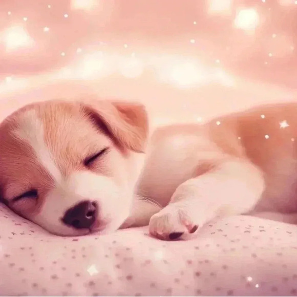 ✅💎Escada Limited Edition Satin Scarf 86cm x 86cm - Picture 11 of 12